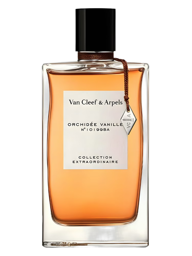 Orchidee Vanille