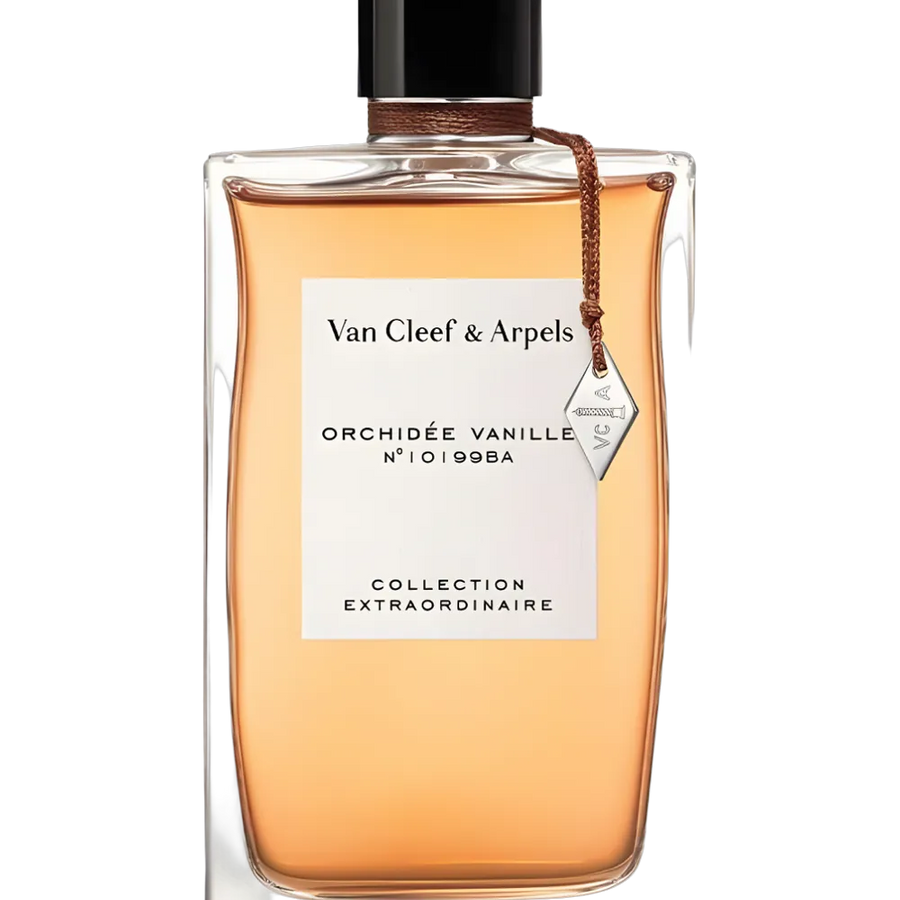 Orchidee Vanille