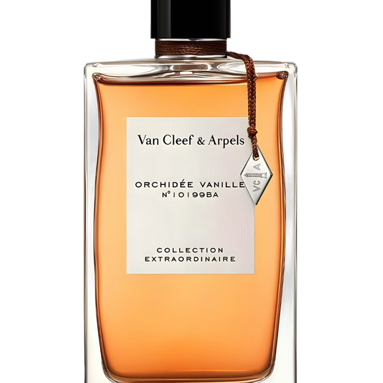 Orchidee Vanille