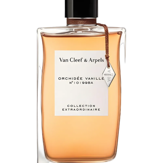 Orchidee Vanille