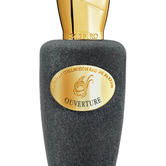 Ouverture | ClicScent