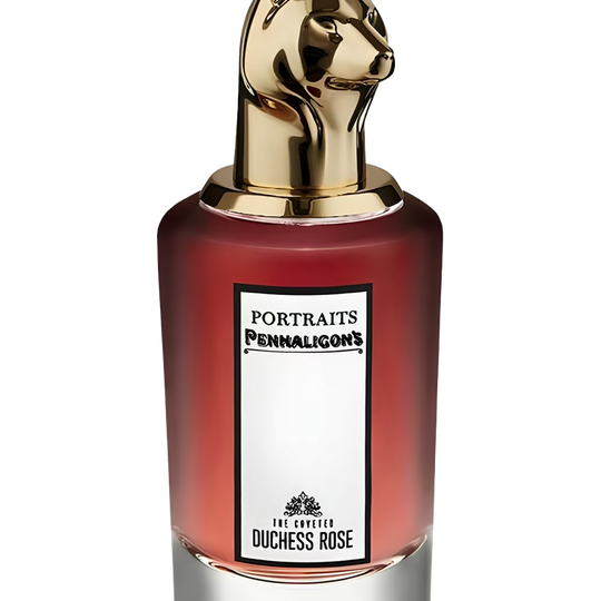 The Coveted Duchess Rose